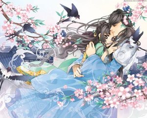 狼导航大全
