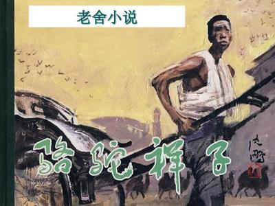 张津渝